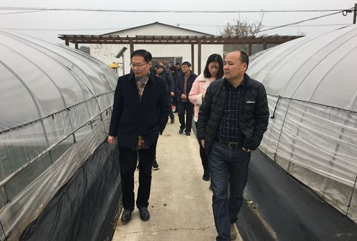 0221_141927_298.jpg 41.jpg