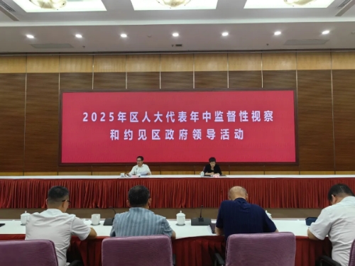 区人大常委会组织代表开展2025年年中监督性视察和约见区政府领导活动