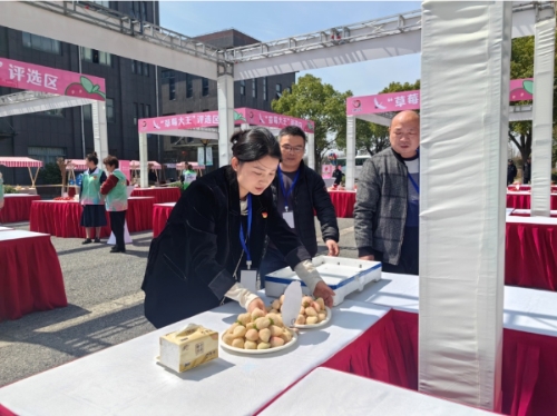 【代表风采】区人大代表金健：为农言、谋农兴，深耕沃野绽芳华！