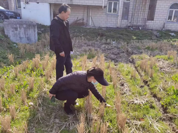 0901_102554_906.png 0901白鹤B.png