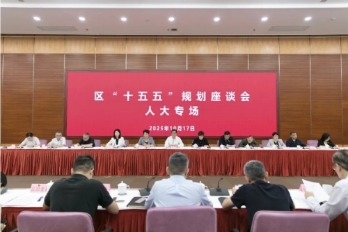 凝聚智慧力量，共绘发展蓝图，区“十五五”规划座谈会人大专场举行
