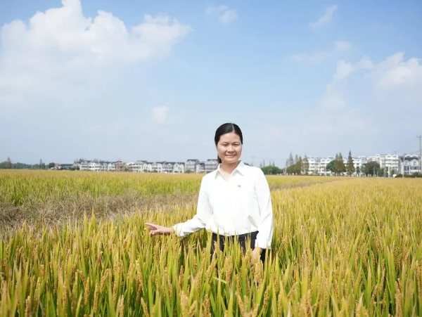 1103_151904_687.jpg 1103朱家角A.jpg