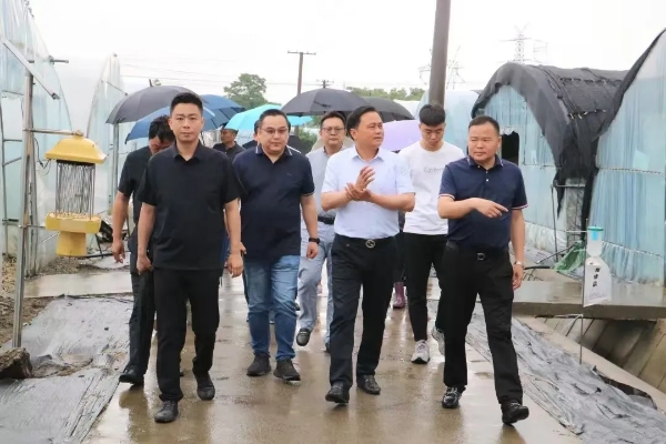 1112_150747_658.jpg 1112华新E.jpg