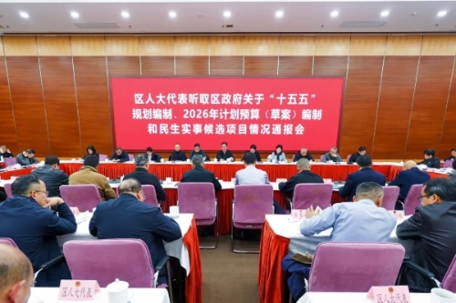  区人大常委会组织代表听取区政府关于“十五五”规划编制、2026年计划预算（草案）编制和民生实事候选项目情况通报
