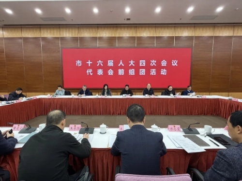 市十六届人大四次会议青浦代表团进行会前组团活动