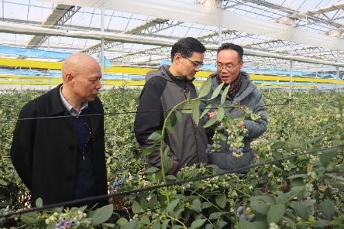 区人大常委会组成人员（第三组）联系走访区人大代表