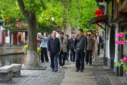 朱家角焕新藏着什么惊喜？市人大代表青浦小组开展视察调研