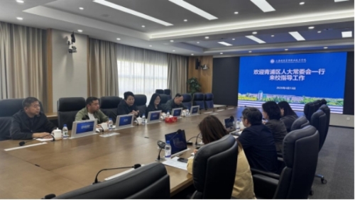 区人大常委会副主任陶夏芳一行赴徐泾镇走访调研