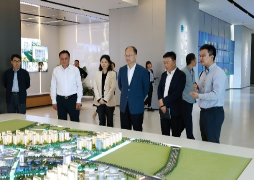 区人大常委会主任程巍赴华新镇调研