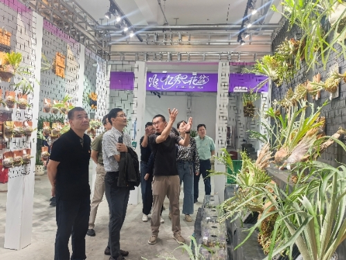 区人大机关党支部开展“花谷蝶变看振兴，实干担当促发展”主题党日活动